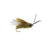 Clark's Cicada