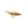 Ruby Eyed Leech