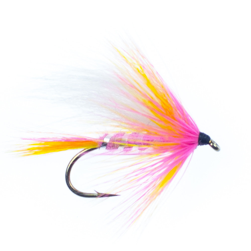 Borden's Special