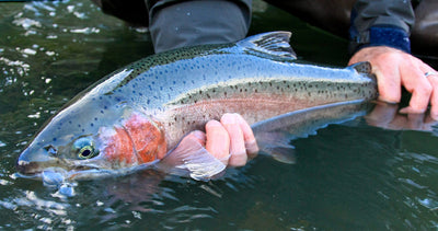Discover Fly Fishing Class | 2025