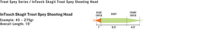 RIO InTouch Skagit Trout Spey Shooting Head