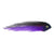 Puglisi Pike/Offshore Baitfish