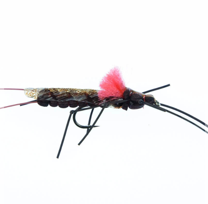 AFS Salmonfly Selection - Standard