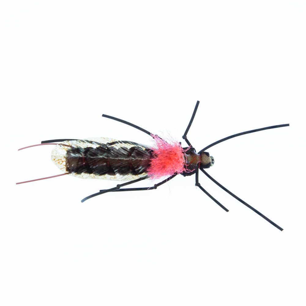 Morrish Still Stone Salmonfly