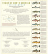 Trout of North America Wall Calendar 2025