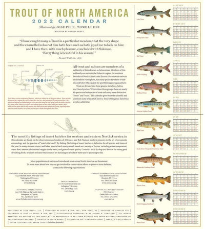 Trout of North America Wall Calendar 2025