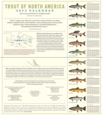 Trout of North America Wall Calendar 2023