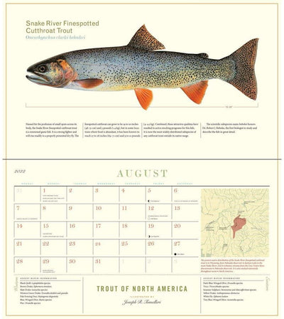 Trout of North America Wall Calendar 2024
