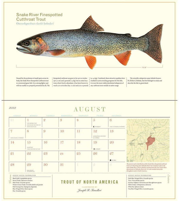 Trout of North America Wall Calendar 2024 Ashland Fly Shop