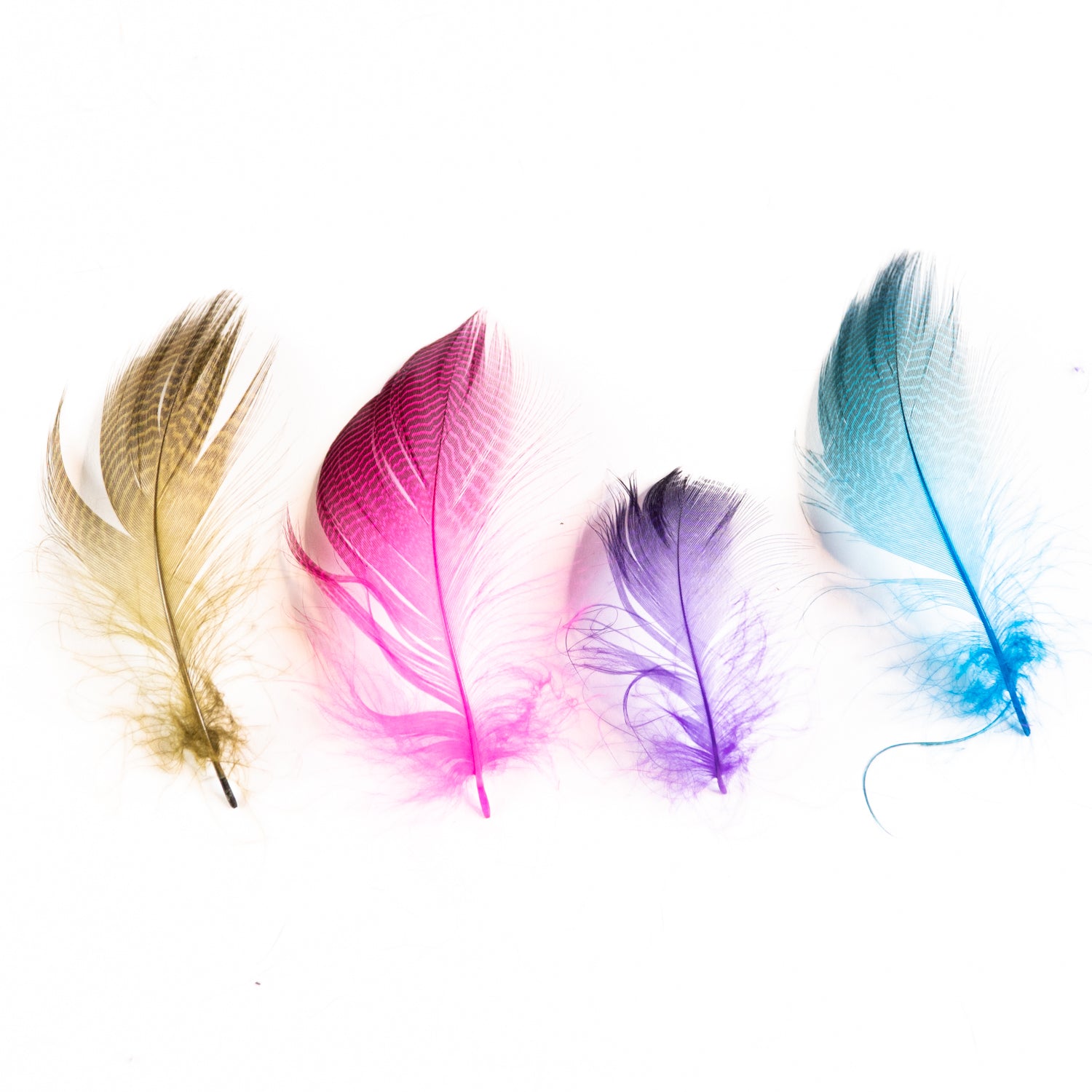 Wapsi Gadwall Barred Flank Feathers