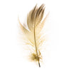 Gadwall Barred Flank Feathers