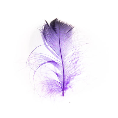 Gadwall Barred Flank Feathers