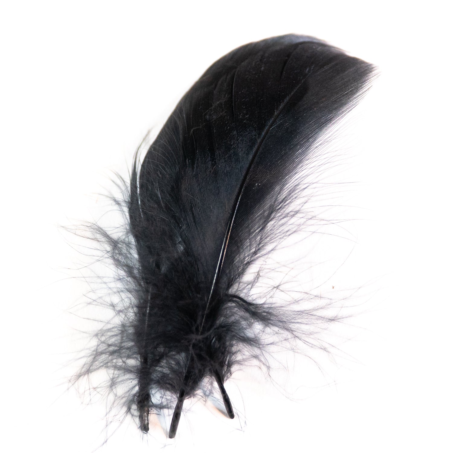 Wapsi Select Large Barred Mallard Flank