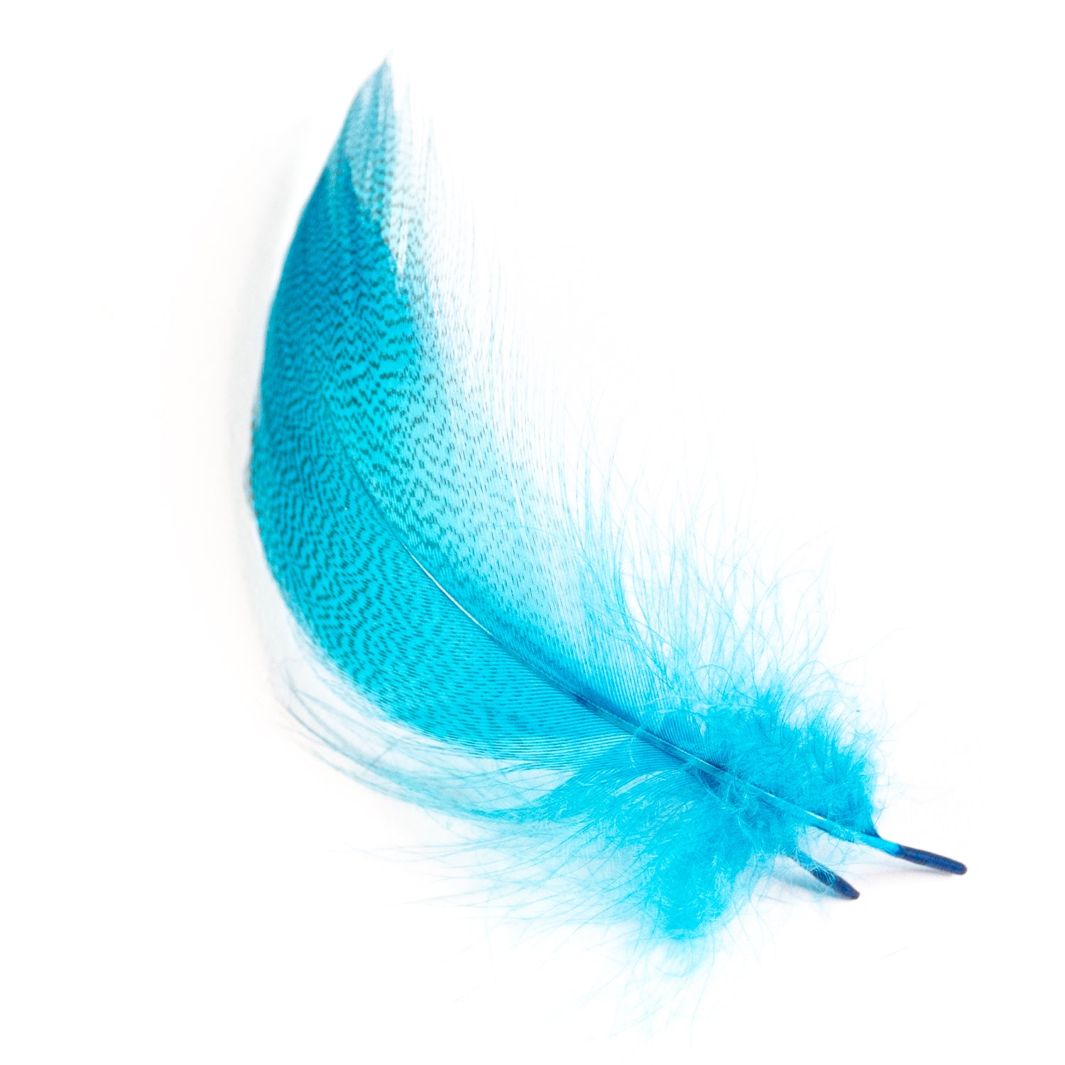 Wapsi Select Large Barred Mallard Flank