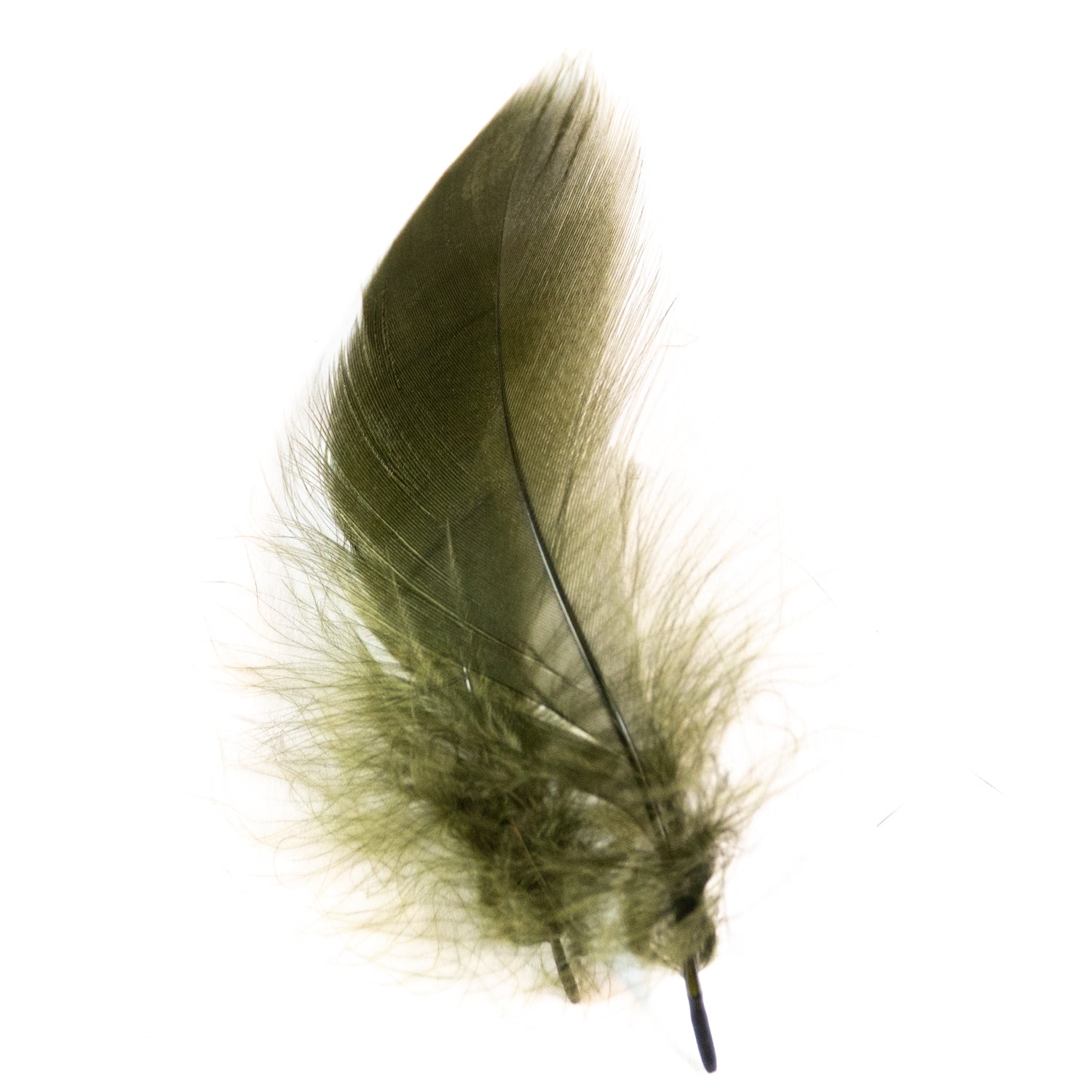 Wapsi Select Large Barred Mallard Flank