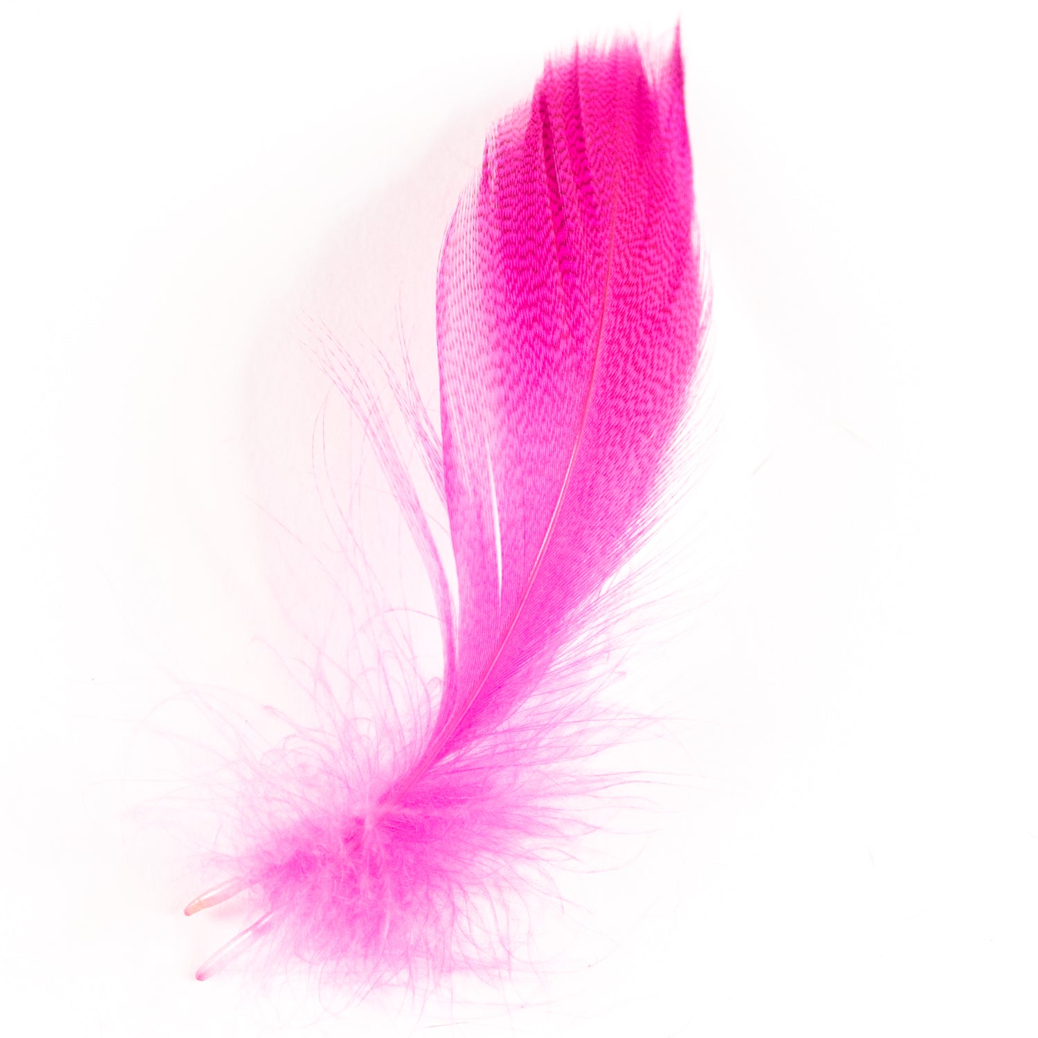 Wapsi Select Large Barred Mallard Flank