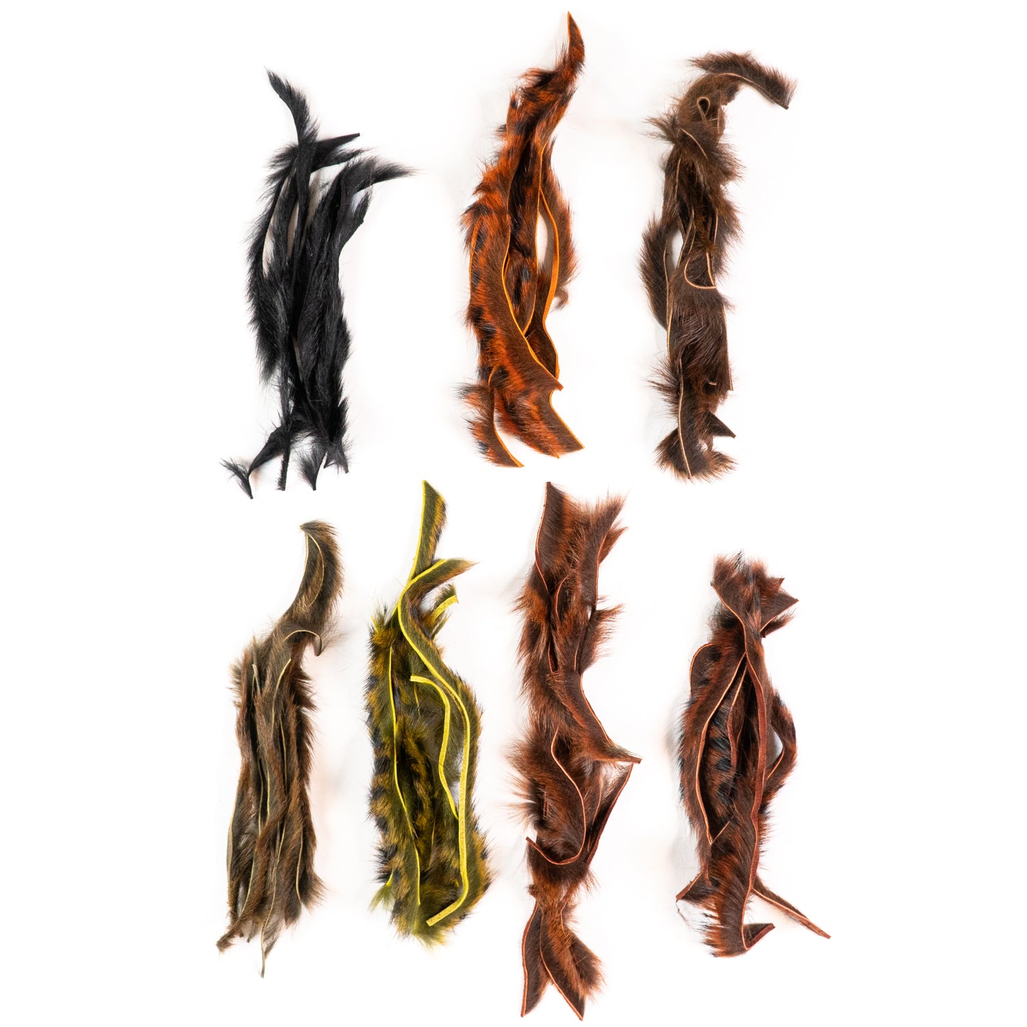 Pine Squirrel Zonkers