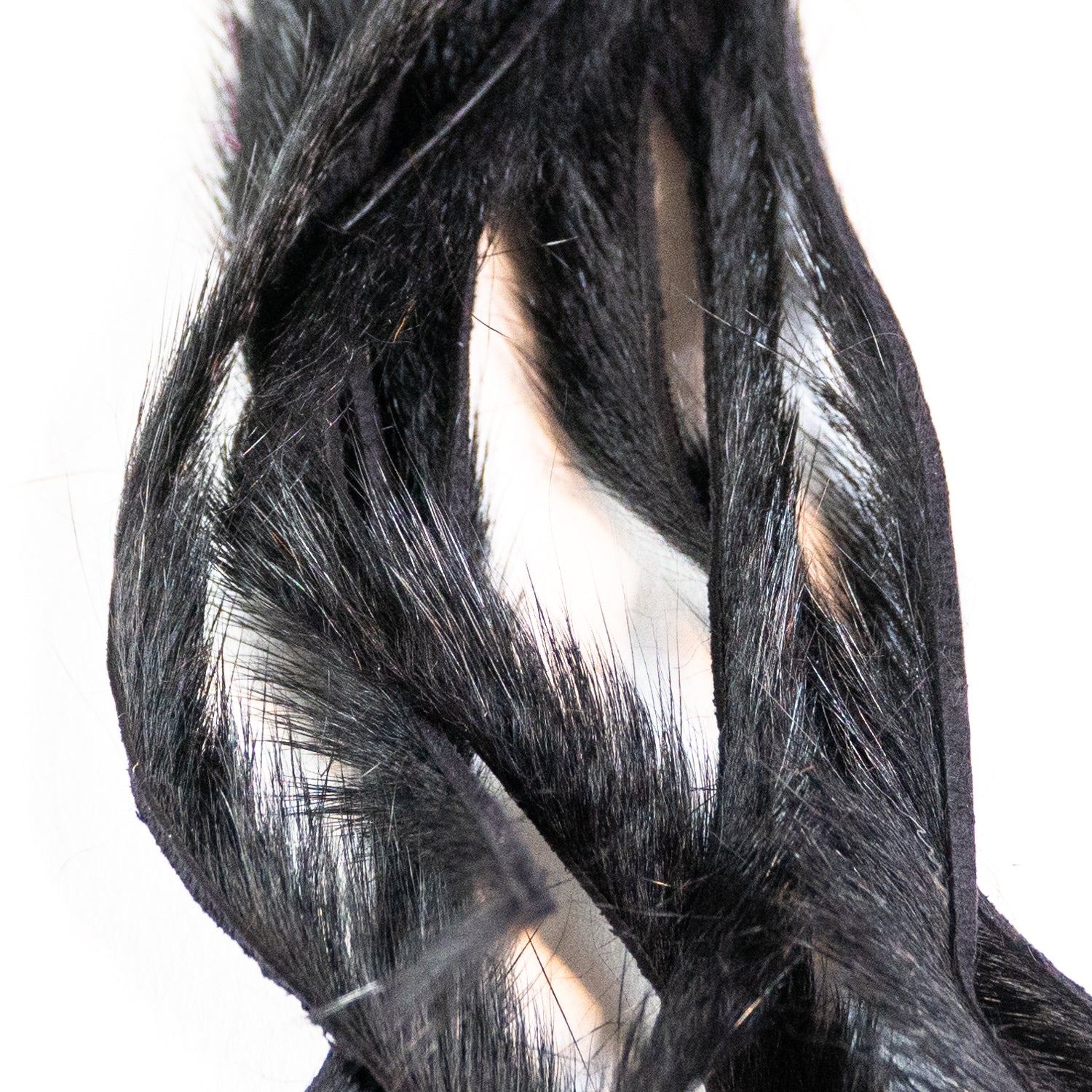 Pine Squirrel Zonkers