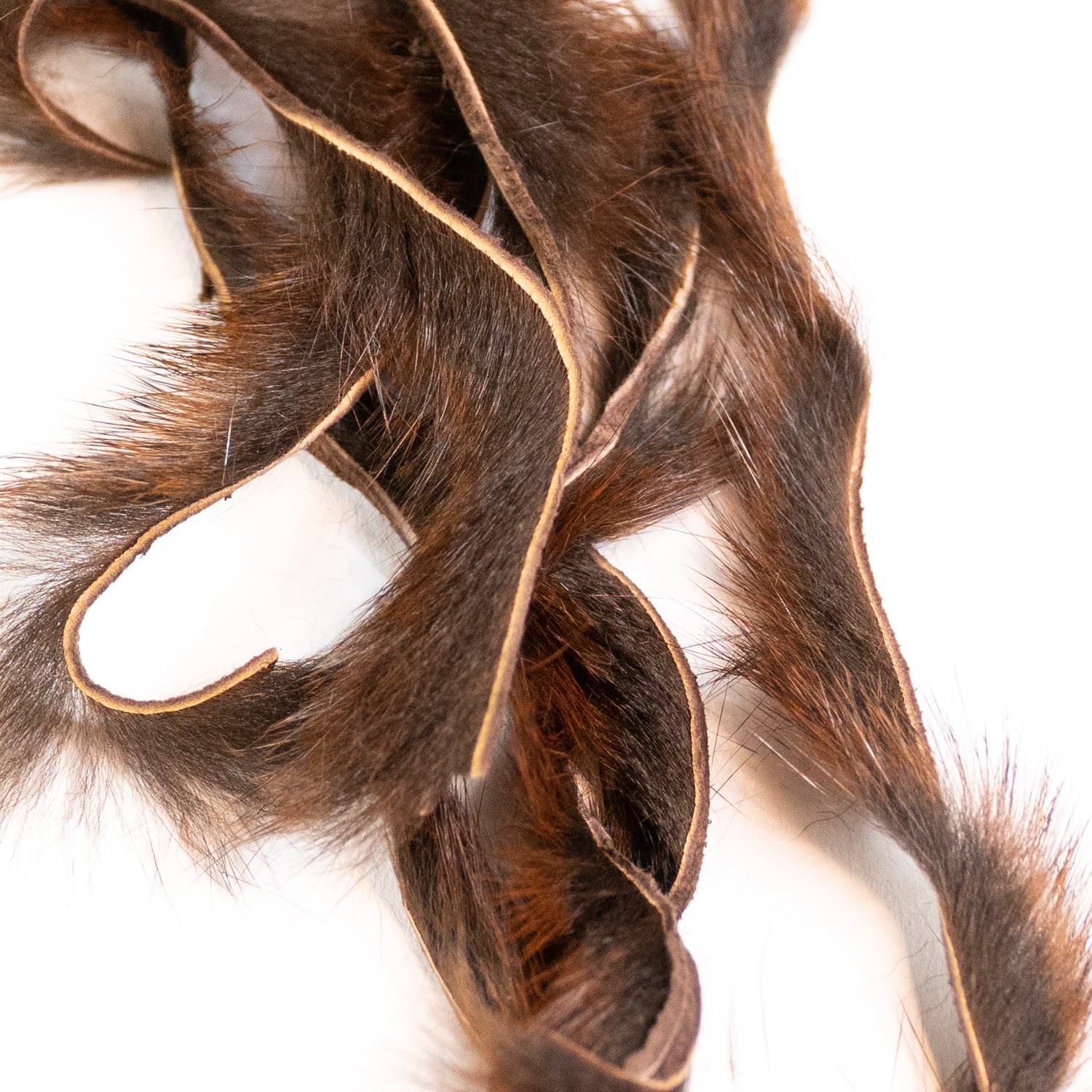 Pine Squirrel Zonkers