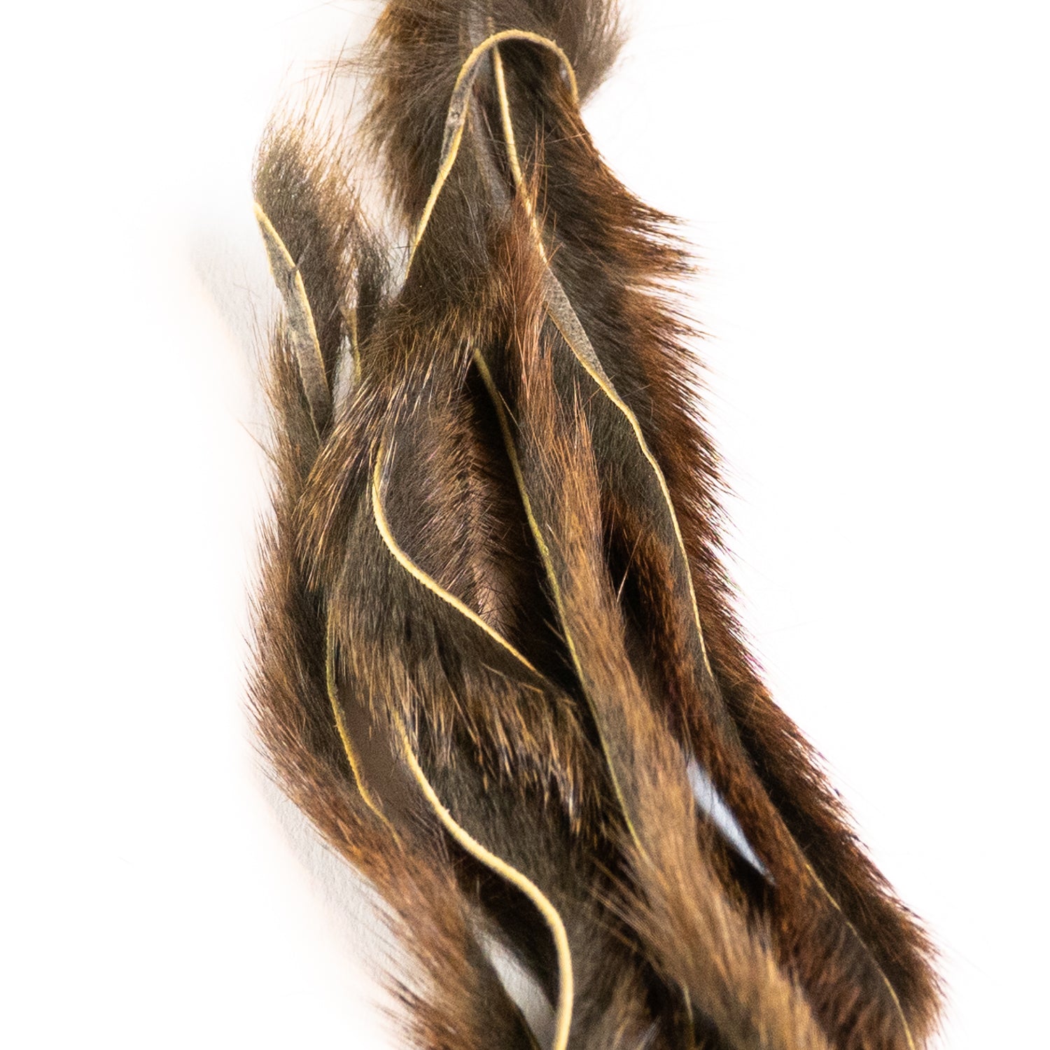 Pine Squirrel Zonkers