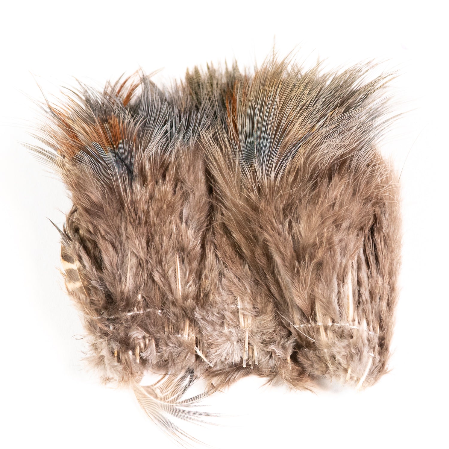 Hareline Strung Ringneck Rump Feathers