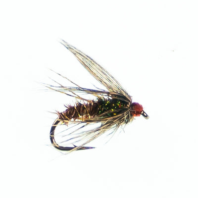 Soft Hackle