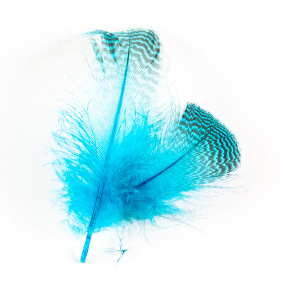 Teal Flank Blue