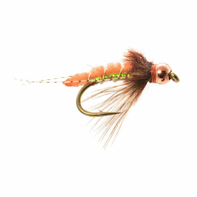 Beadhead Caddis Pupa