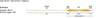 Rio CamoLux Fly Line