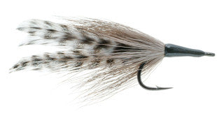 Cockroach