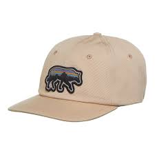 Patagonia Back for Good Trad Cap