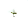 Extended Body BWO