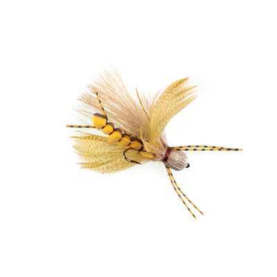 flutter bug golden 2