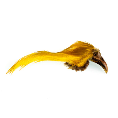 thumbnail image 2 of Tigofly 50pcs Natural Golden Color Pheasant Crest Feathers – Fly Tying Material For Fresh/Saltwater 2 of 6