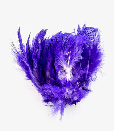 Silver Pheasant Feathers