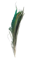 Peacock Sword