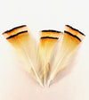 Golden Pheasant Tippets