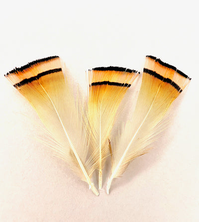 Golden Pheasant Tippets