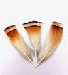 Golden Pheasant Tippets