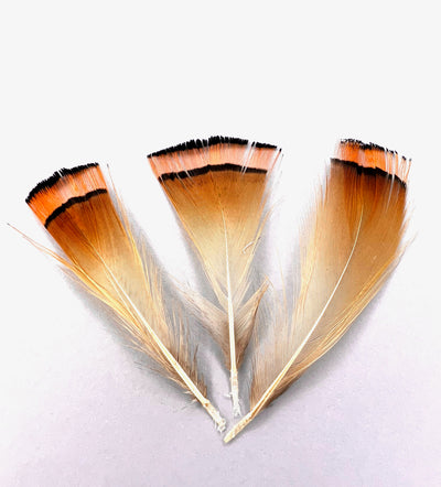 Golden Pheasant Tippets