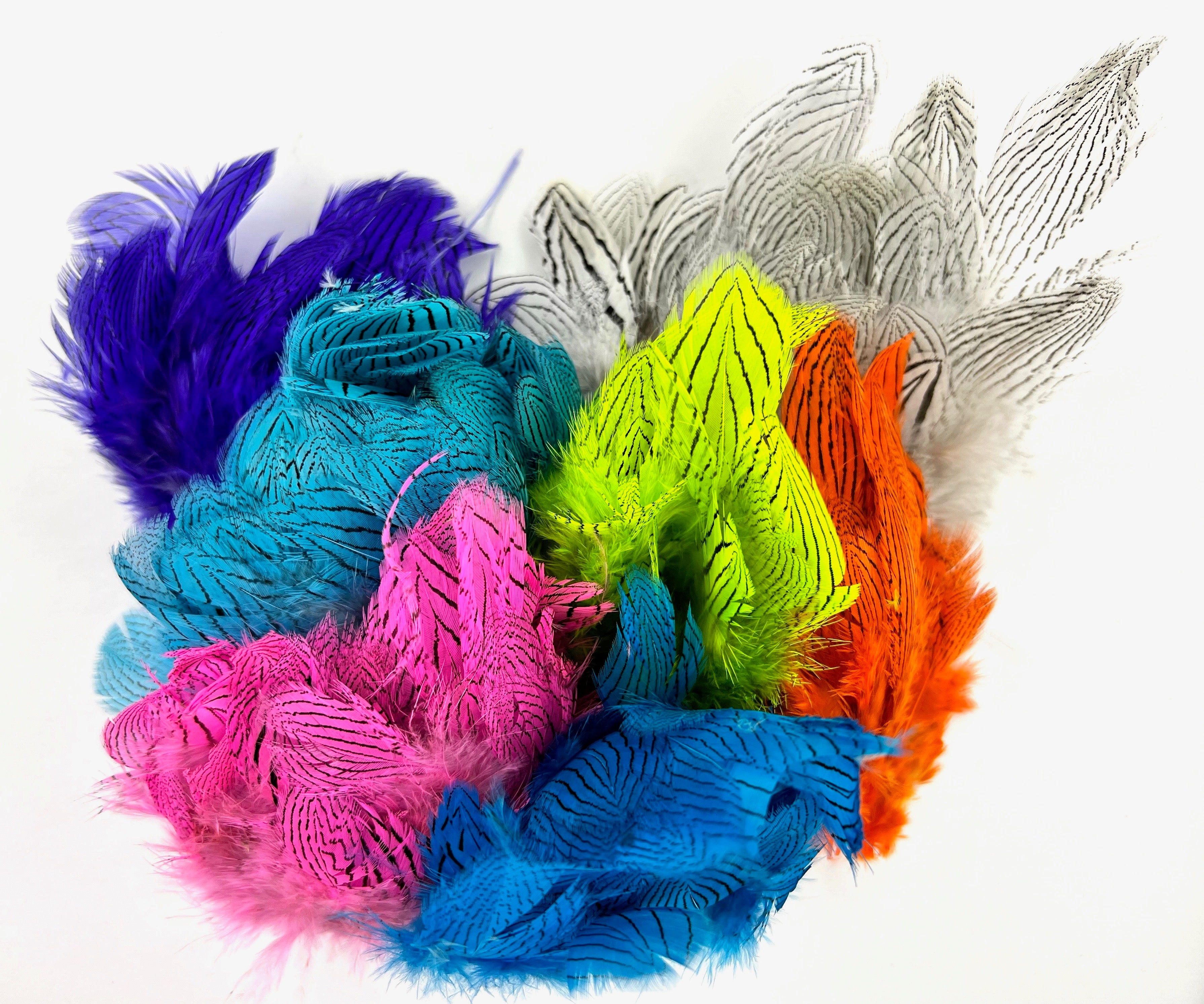 Feathers Silver Pheasant Feathers | Ashland Fly Shop