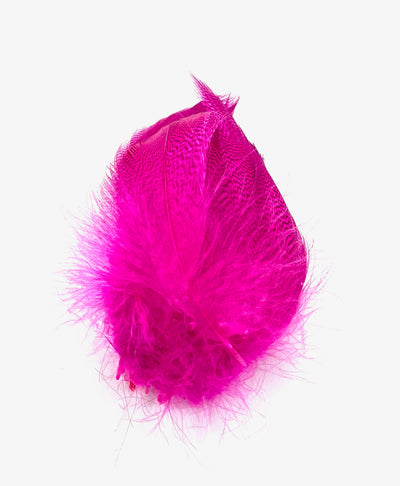 Silver Pheasant Feathers