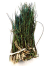 Strung Peacock Herl 5-7"