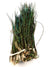 Strung Peacock Herl 5-7"