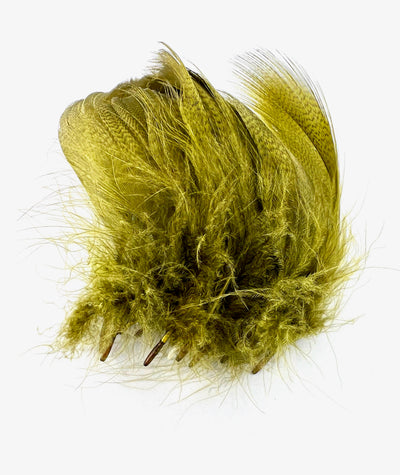 Silver Pheasant Feathers