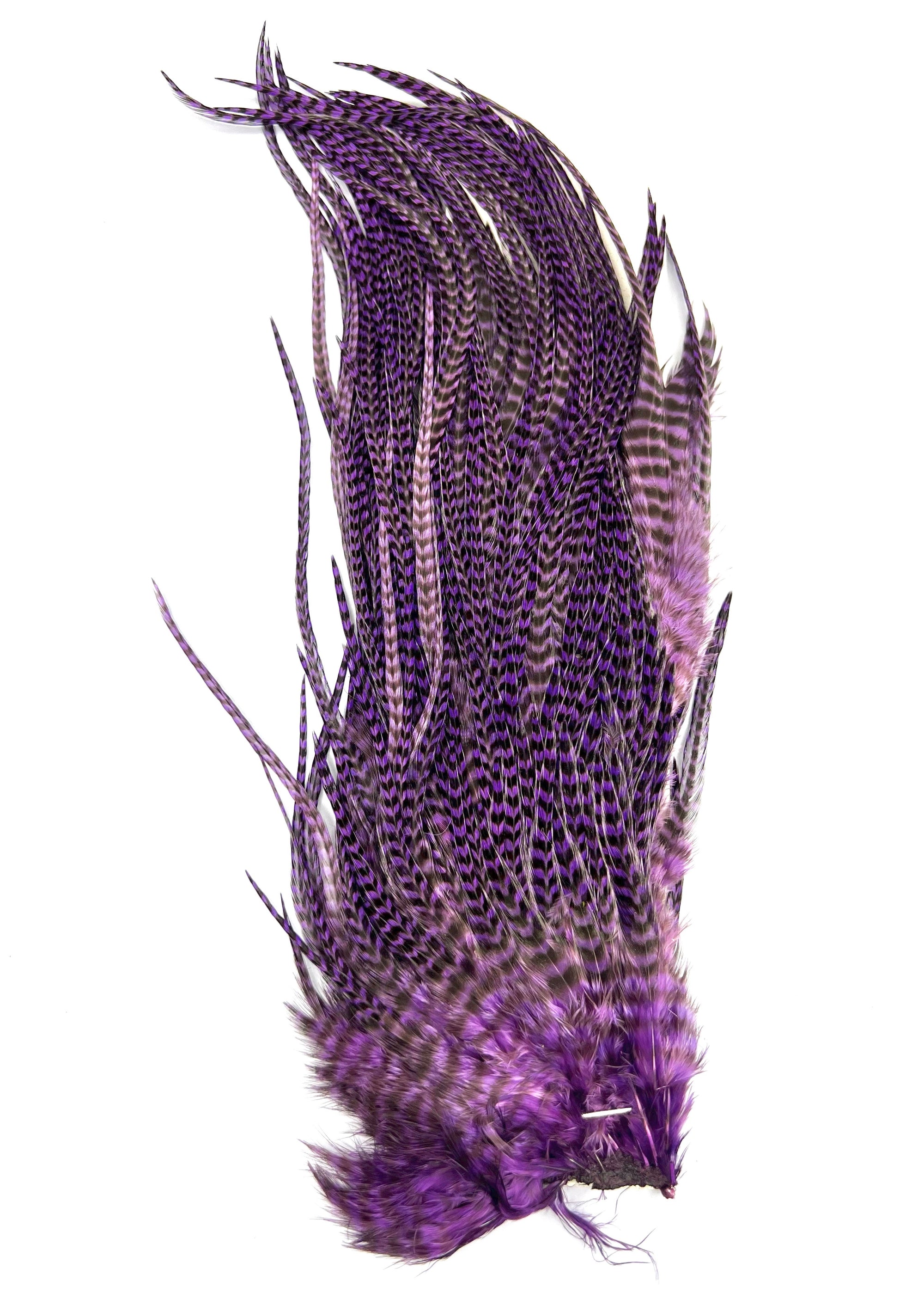 Hareline Grizzly Variant Saddle Hackle – Strung Rooster Feathers For Fly Tying, 1/4 Oz Pack, USA Made