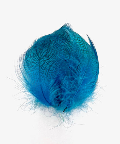 Silver Pheasant Feathers