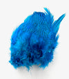 Silver Pheasant Feathers
