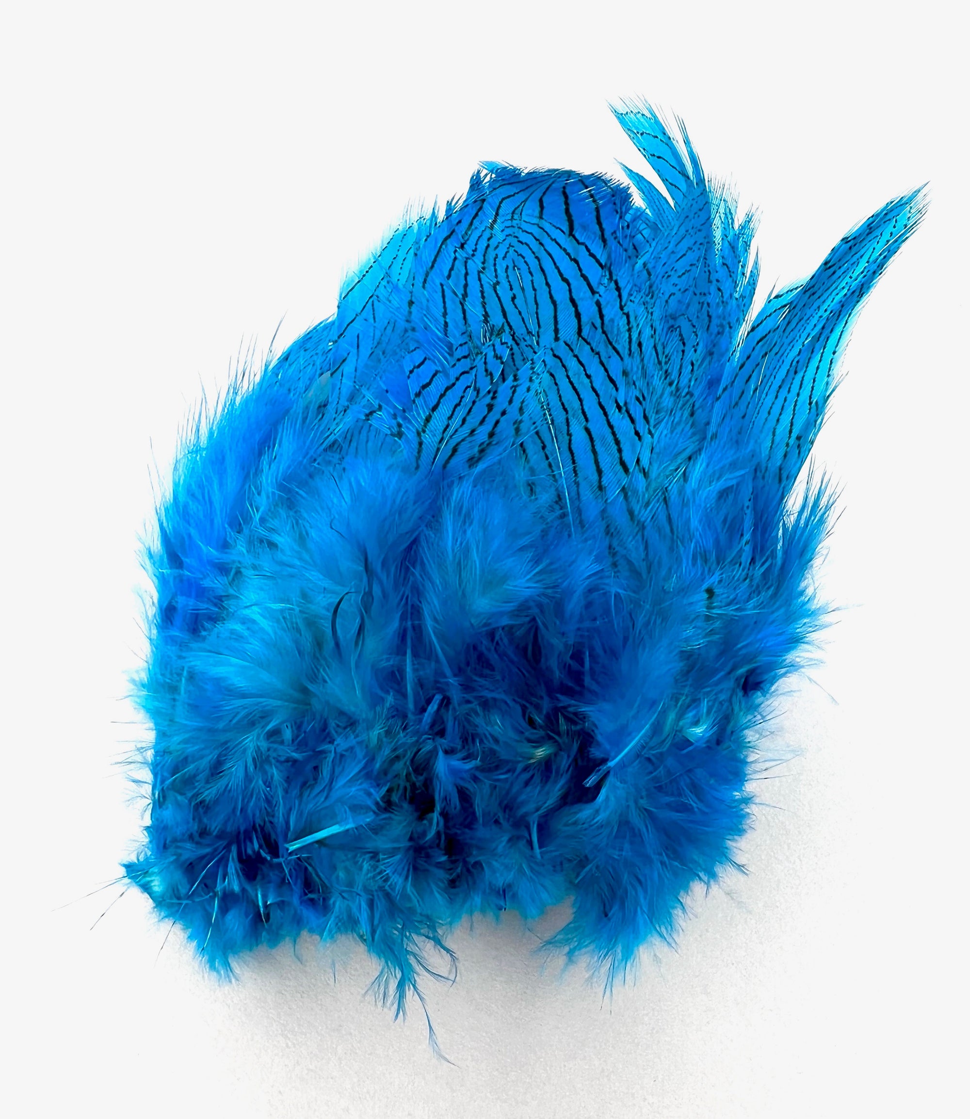 Pheasant Feathers – Grayson De Vere