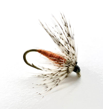 Partridge Soft Hackle